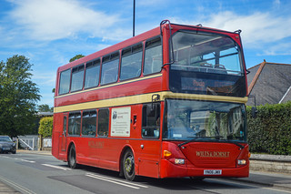 Photo of Logan, YN06 JWX