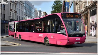 Photo of Yahya, TFZ 8809