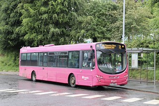 Photo of Expedito, KFZ 9903