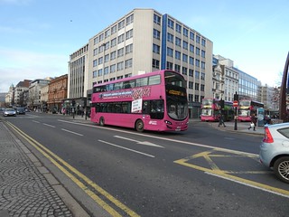 Photo of Timeo, SFZ 9177