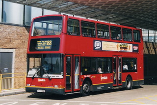 Photo of Grace, X573EGK