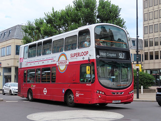 Photo of Willy