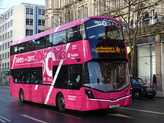 Photo of Houda, YUI 2292