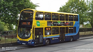 Photo of Theodor, 12-D-38793