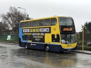 Photo of Felinta, 08-D-30086