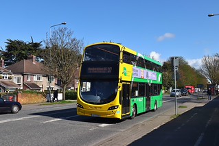 Photo of Berta, 142-D-12039