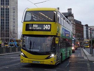 Photo of Sienna, 211-D-24082