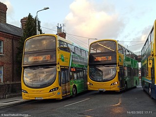 Photo of Alison, 142-D-12982