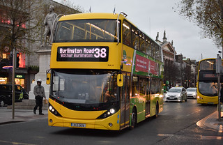Photo of Toby, 211-D-24178