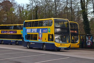 Photo of Nelson, 08-D-30068