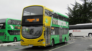 Photo of Delphine, 182-D-459
