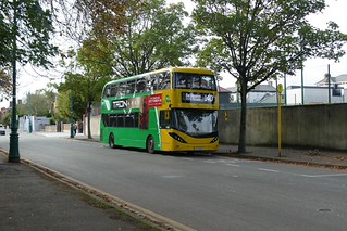 Photo of Peppi, 211-D-24073
