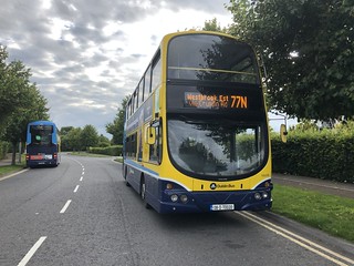 Photo of Lloyd, 08-D-70020