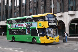Photo of Holly, 241-D-7753