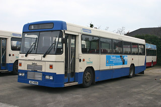 Photo of Ronnie, FXI 404