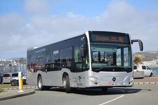 Photo of Marta, NMN-106-K