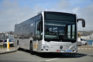 Photo of Amoli, RMN-772-W