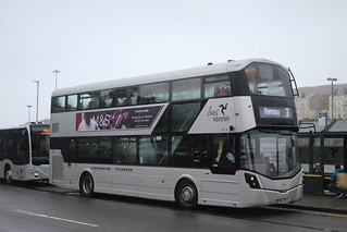 Photo of Alexander, PMN-305-E