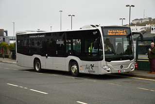 Photo of Lucas, MMN-101-L