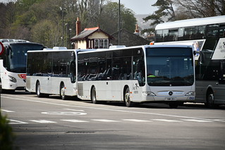 Photo of Tyler, LMN-230-H