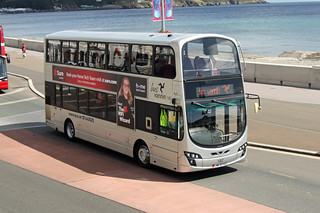 Photo of Theo, LMN-182-N