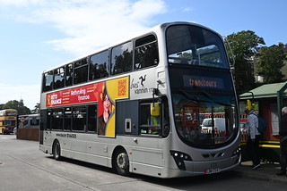 Photo of Lena, LMN-173-K