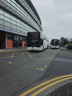 Photo of Ava, 242-G-2108