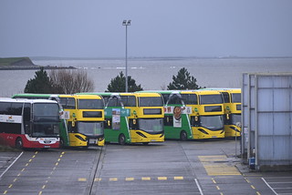 Photo of Morris, 161-D-37031