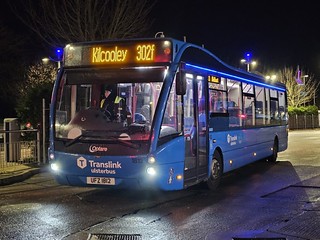 Photo of Elvin, UFZ 1812